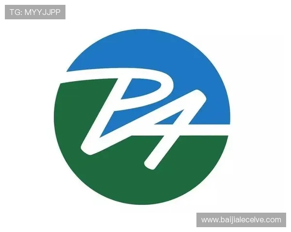 探索PA中国官网上的丰富资源与专业技术支持内容