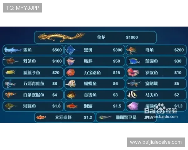 AG龙虎真人游戏中的常见误区与正确操作技巧全面解析