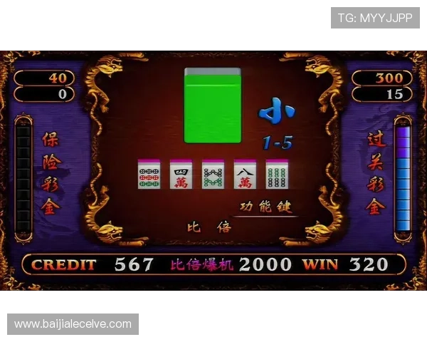 真人现场版龙虎游戏玩法详解让你轻松掌握赢取大奖的秘诀